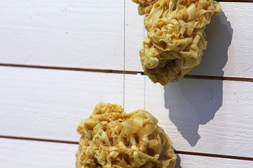 _mg_0587-copy-copy-mmm