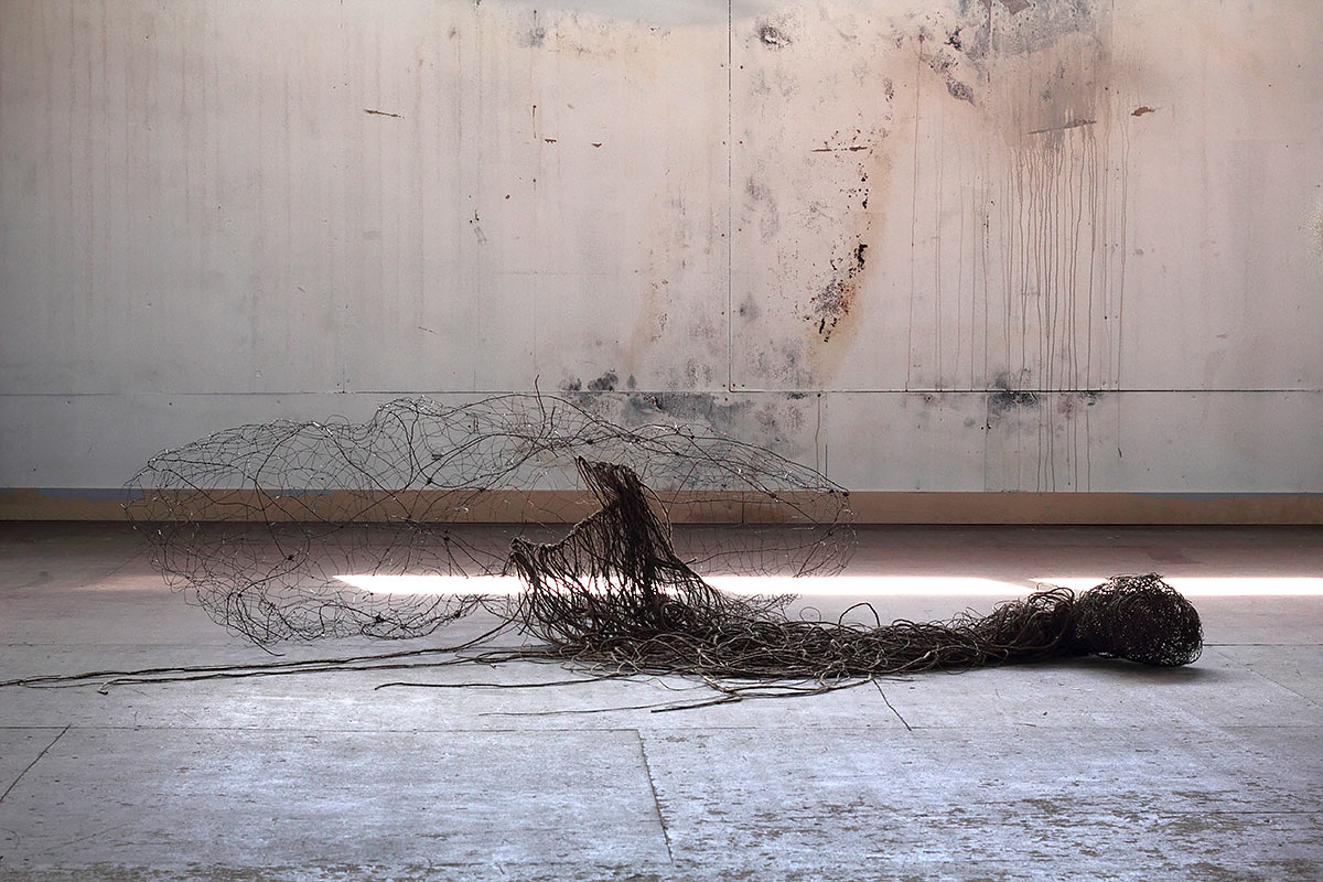 _mg_8112-copy-copy-mm