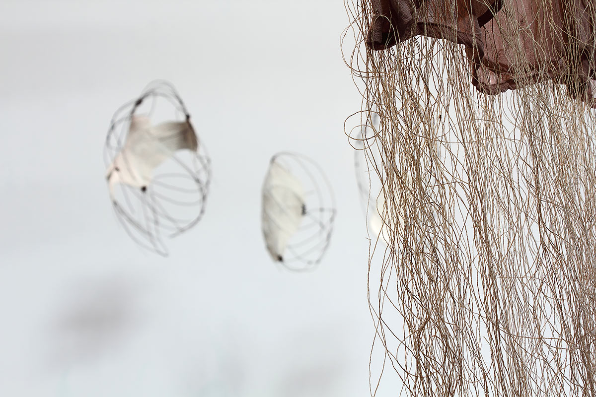 _mg_6600-copy-copy-mm