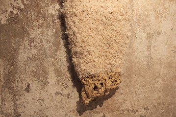 _mg_0404-copy-copy-mmm