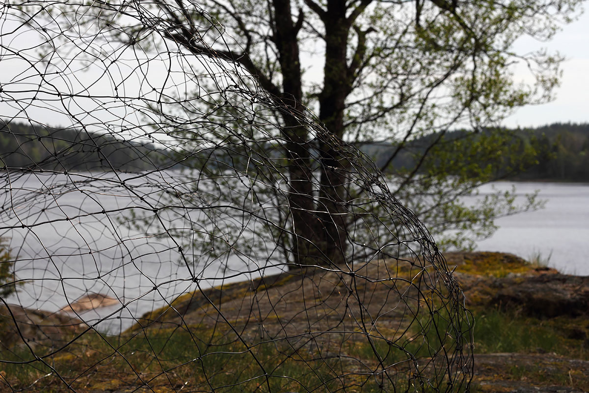 _MG_0870-copy-copy-m