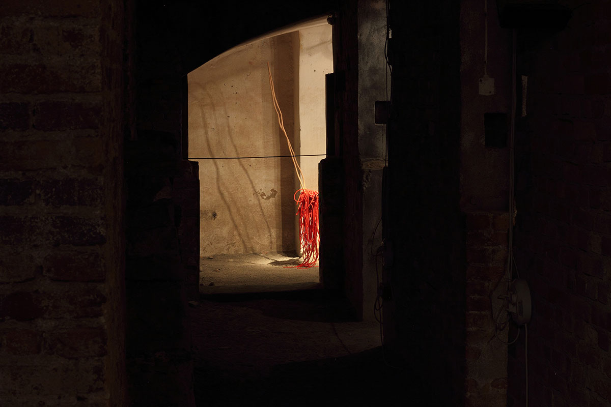 _MG_5010-copy-copy-m