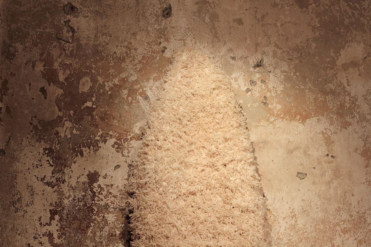 _MG_5014-copy-copy-2-m