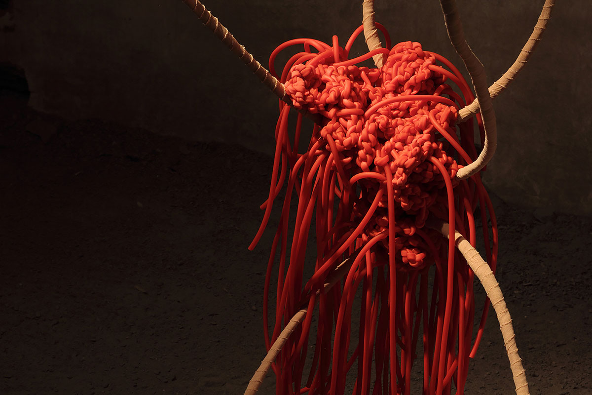 _MG_5062-copy-copy-m