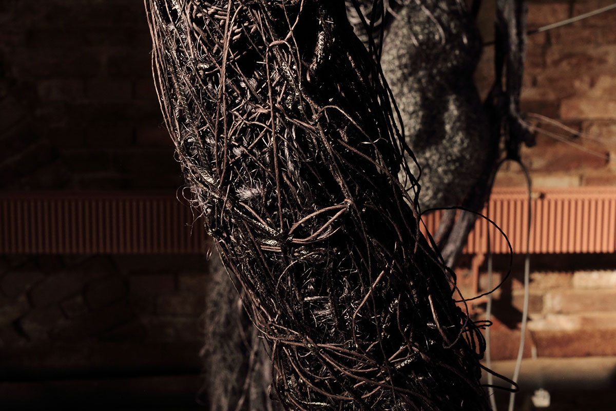 _MG_5169-copy-copy-m