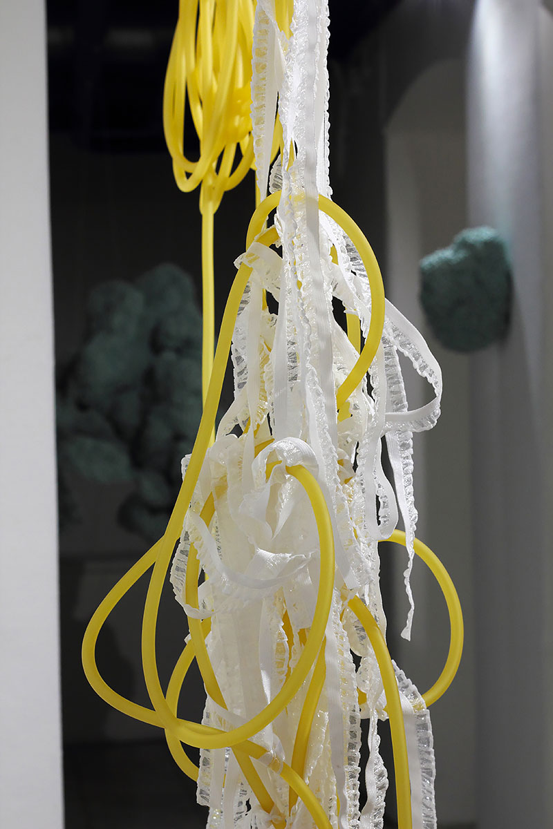 _MG_5623-copy-copy-m