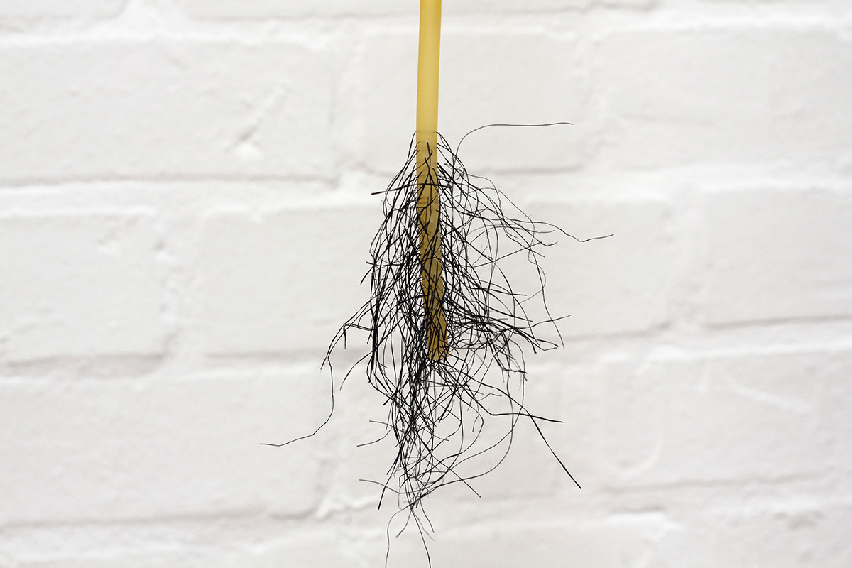 _MG_9890-copy-copy-m