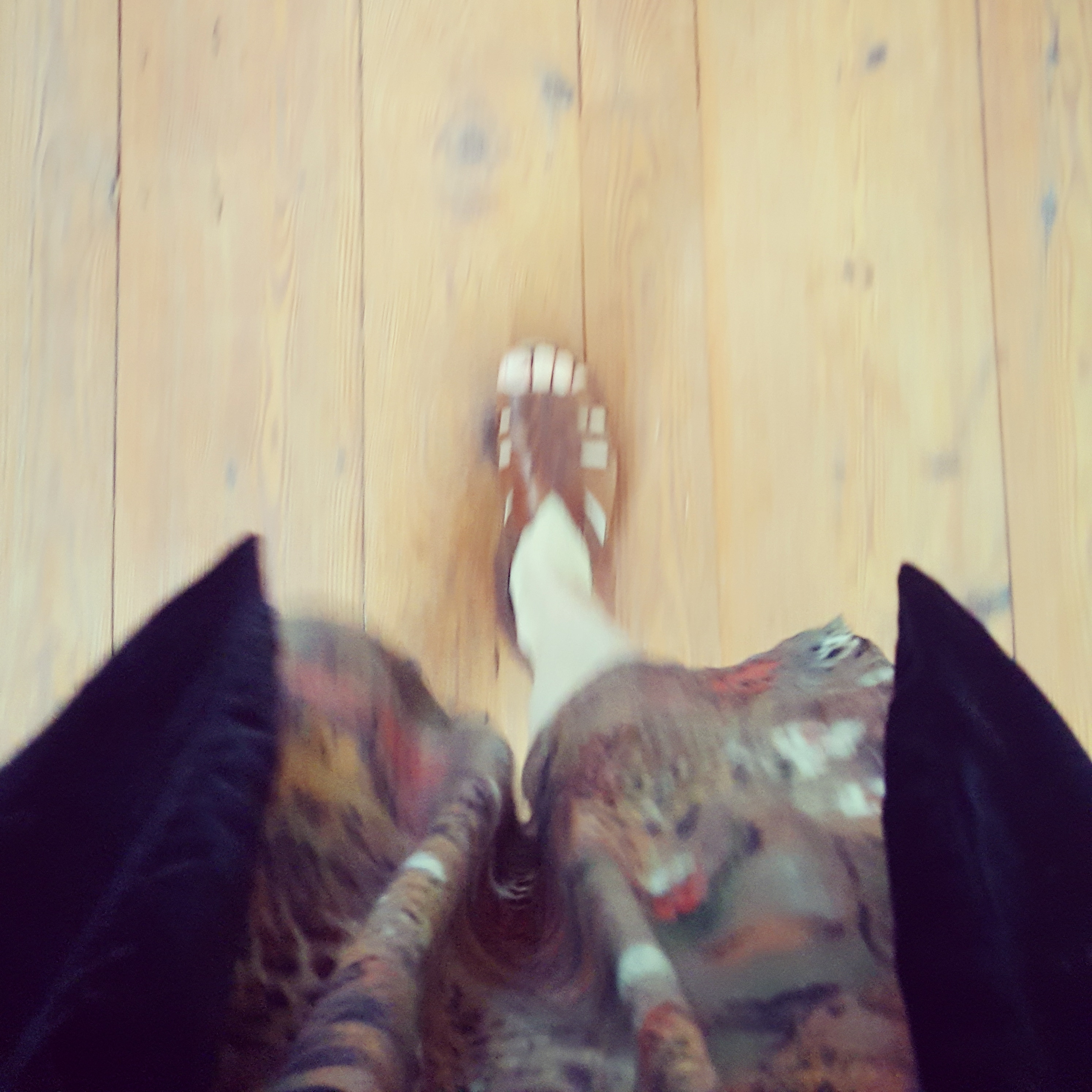 IMG_20180626_130827_606