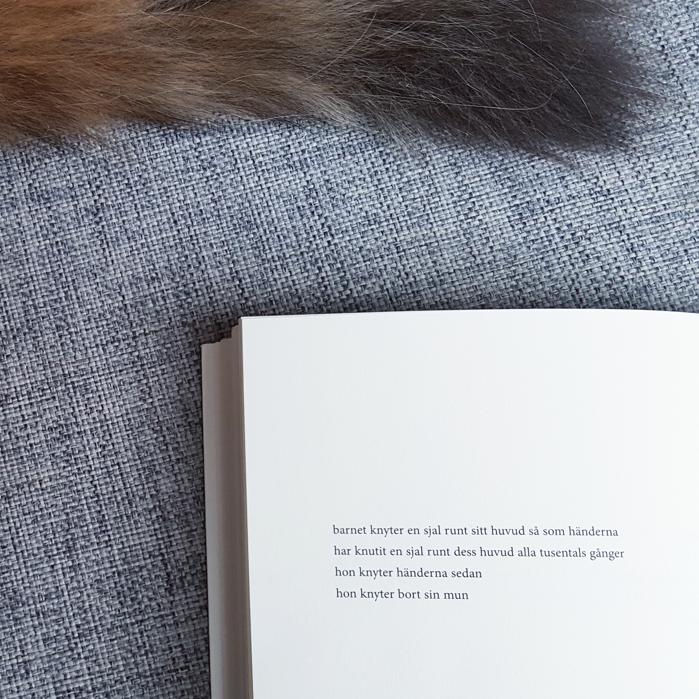 IMG_20180813_191716_947