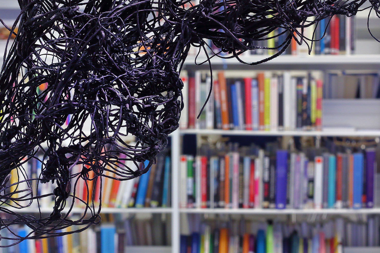 _MG_5934-copy-copy-m2m