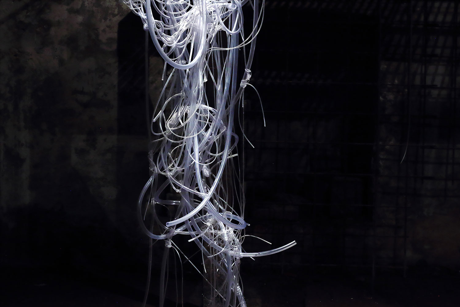 _MG_6342-copy-copy-m