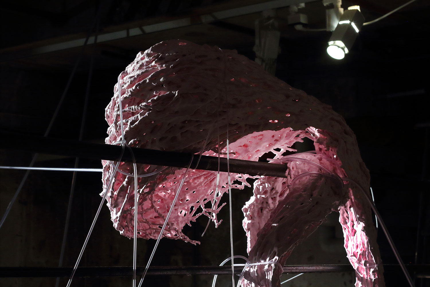 _MG_6461-copy-copy-m