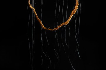 _mg_0550-copy-copy-mmm