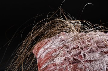 _mg_0550-copy-copy-mmm