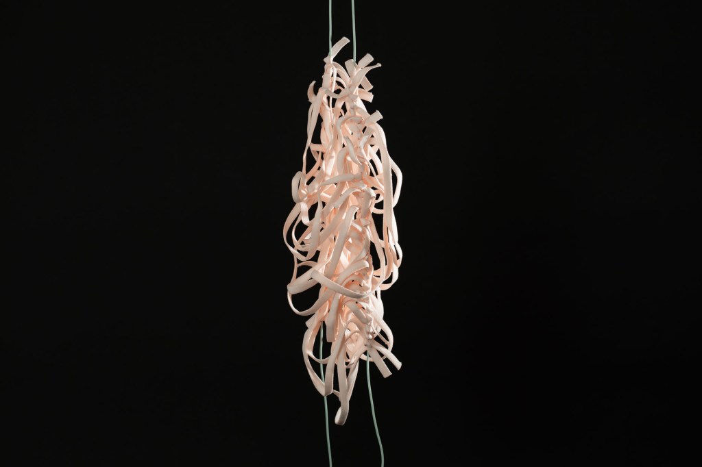 Denna bild har ett alt-attribut som är tomt. Dess filnamn är dsc1362_webm.jpg