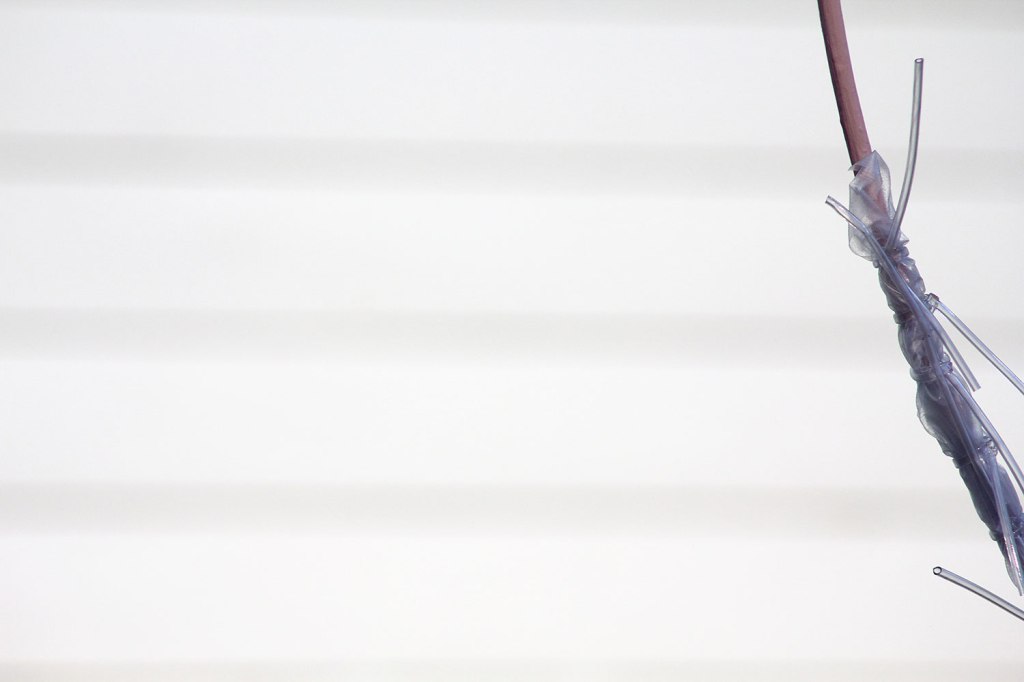 Denna bild har ett alt-attribut som är tomt. Dess filnamn är mg_0615-copy-copy-m.jpg