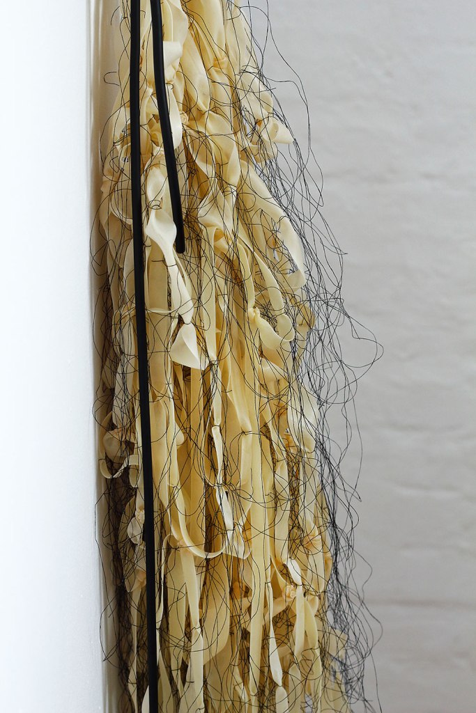 Denna bild har ett alt-attribut som är tomt. Dess filnamn är mg_9863-copy-copy-m.jpg